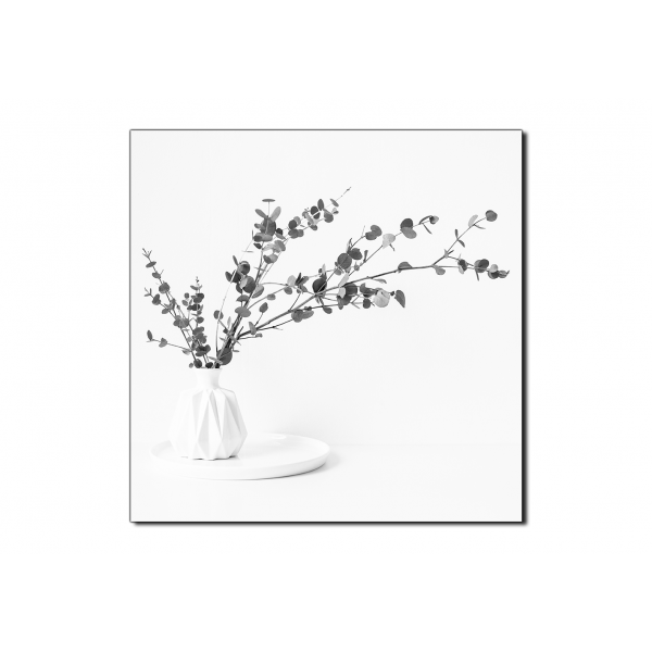 Obraz na plátně - Větev eukalyptu v bílé váze na bílém pozadí - čtverec